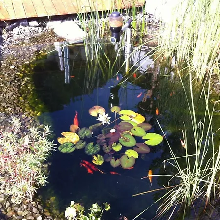 Haus Bergkastelblick Casa de hóspedes 4*