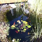 Haus Bergkastelblick Guest house 4*